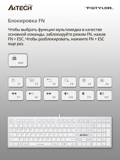 Клавиатура A4Tech Fstyler FX50 белый USB slim Multimedia (FX50 WHITE) — фото 5