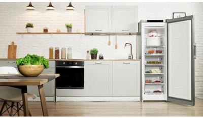 Морозильник INDESIT DFZ 5175 G серебро NF [250л /175см /7ящ] — фото 10