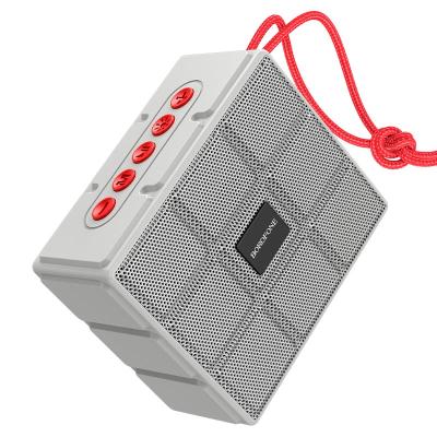 Портативная колонка BOROFONE BR16 Bluetooth 5.1 5W 1200mAh, серый (6931474749949) — фото 1