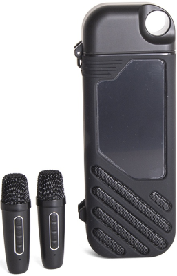 Портативная акустика СИГНАЛ B52 Karaoke box, 10Вт, АКБ 3000мА/ч, BT (до10м), USB, дисплей, 2 микроф, черный — фото 1