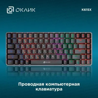 Клавиатура OKLICK K615X механическая черный/серебристый USB Multimedia LED (1934413) — фото 2