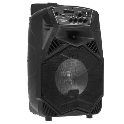 Мидисистема NATIONAL NSM-V100 70Вт Ак FM USB TF AUX BT караоке — фото 2
