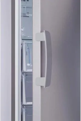 Морозильник INDESIT DFZ 5175 G серебро NF [250л /175см /7ящ] — фото 3