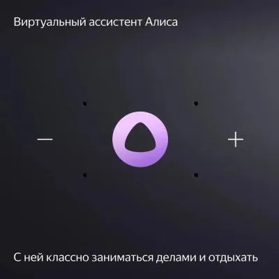 Умная колонка Яндекс Станция Миди с Zigbee черный  (YNDX-00054BLK) — фото 17
