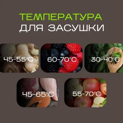 Сушилка для фруктов и овощей LUMUS LU-D5106 белая/бежевая — фото 8