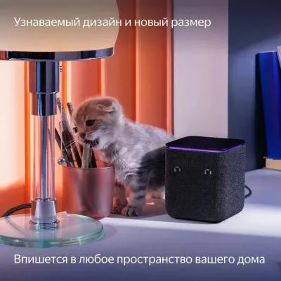 Умная колонка Яндекс Станция Миди с Zigbee черный  (YNDX-00054BLK) — фото 27