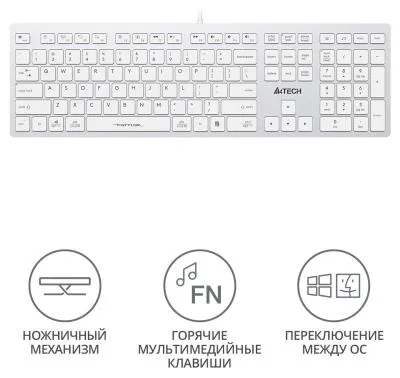 Клавиатура A4Tech Fstyler FX50 белый USB slim Multimedia (FX50 WHITE) — фото 2
