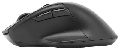 Мышь ACER OMR150 черный оптическая (1600dpi) беспроводная USB (6but) (ZL.MCEEE.00K) — фото 4