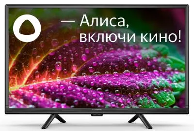 Телевизор LED STARWIND SW-LED24SG304 HD Smart (Яндекс) — фото 1